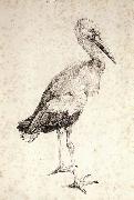 Albrecht Durer The Stork oil painting